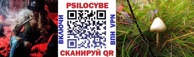 закладки  Трёхгорный  блэк спрут ТОР  Галлюциногенные грибы прущие грибы 